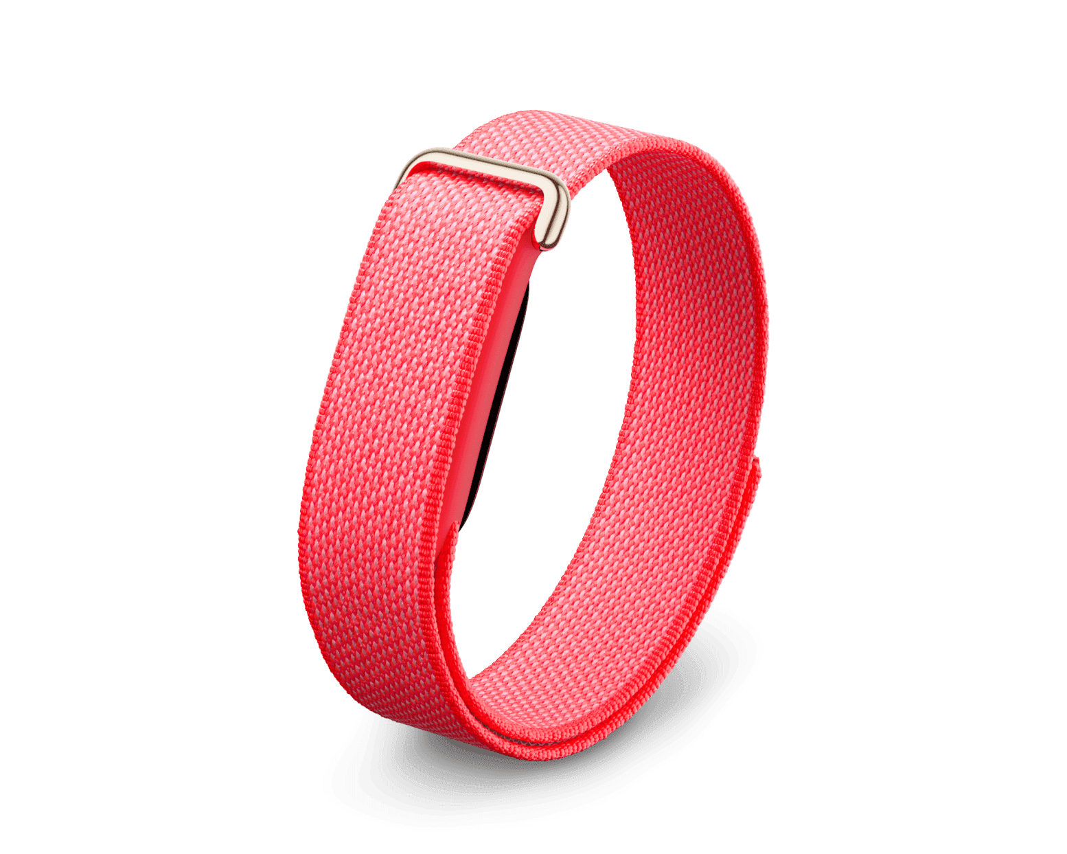 Google Fitbit Air Berry